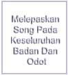 Melepaskan song pada keseluruhan badan dan odot